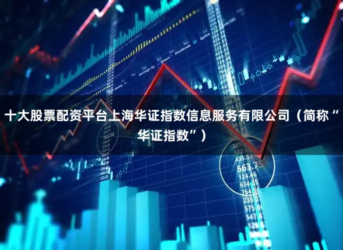 十大股票配资平台上海华证指数信息服务有限公司（简称“华证指数”）