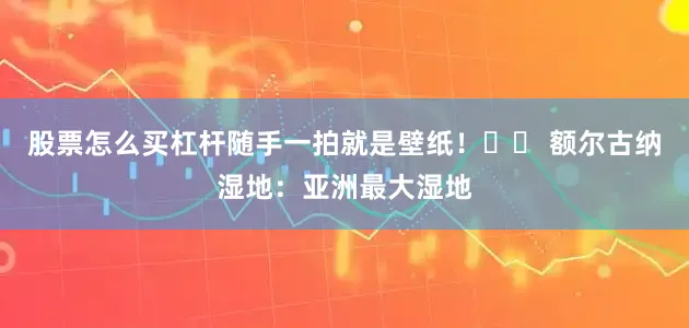 股票怎么买杠杆随手一拍就是壁纸！✔️ 额尔古纳湿地：亚洲最大湿地