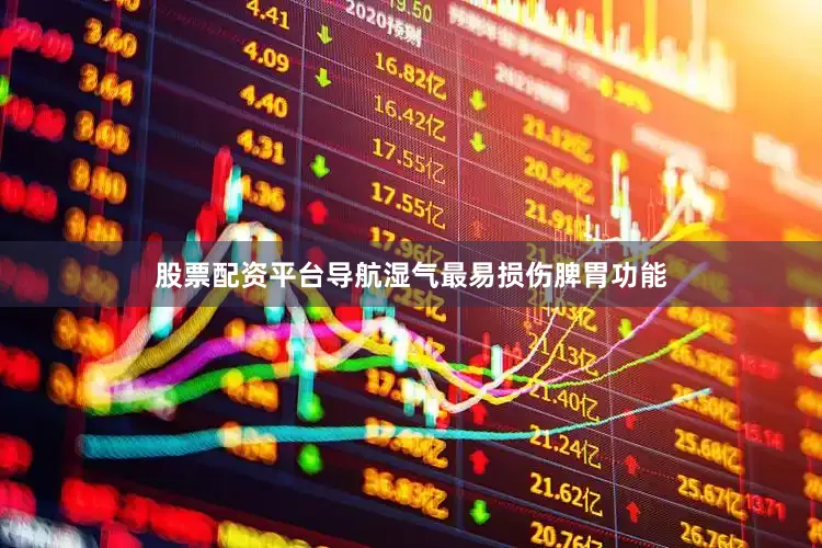 股票配资平台导航湿气最易损伤脾胃功能