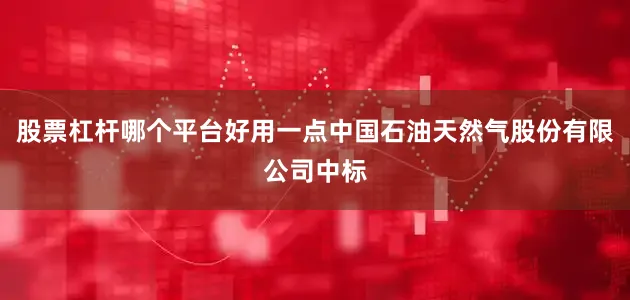 股票杠杆哪个平台好用一点中国石油天然气股份有限公司中标